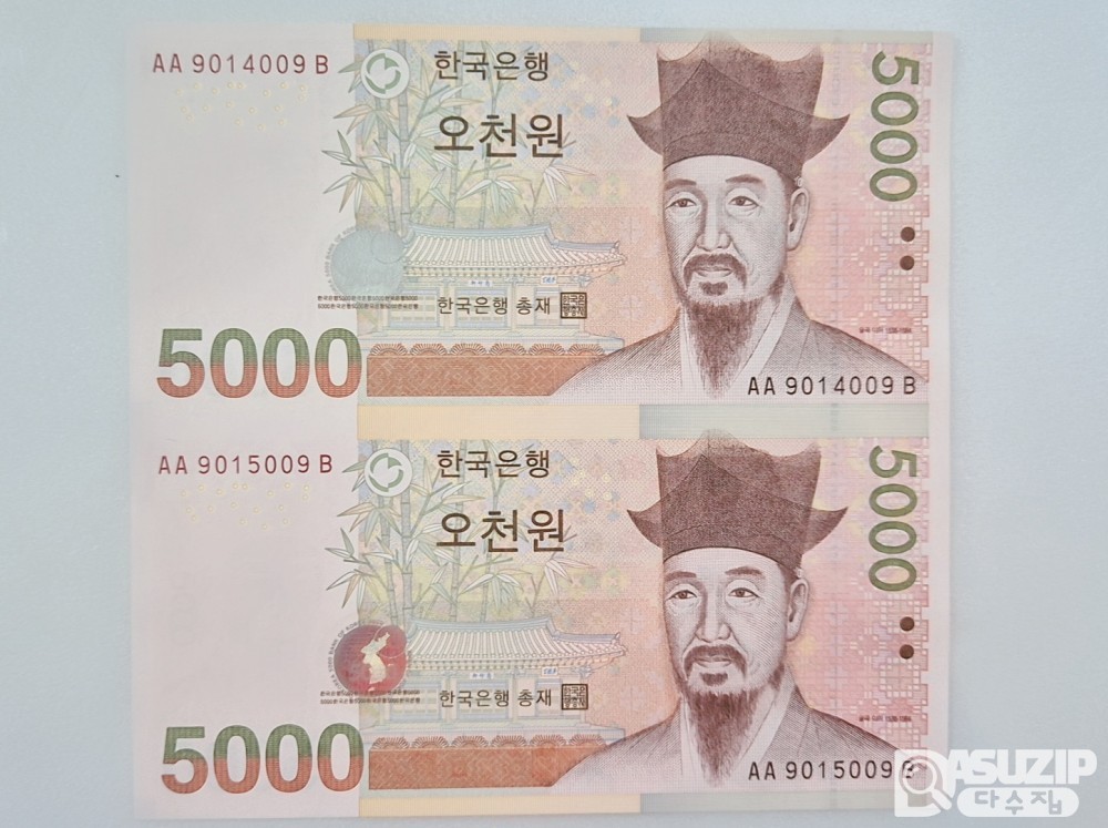 누드 지폐: 5차 오천원 2면부